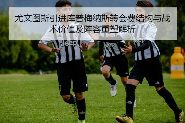 尤文图斯引进库普梅纳斯转会费结构与战术价值及阵容重塑解析